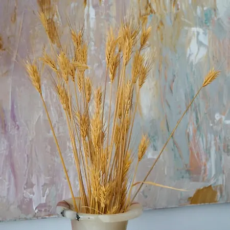 Holiday home Tranquil Modern Retreat In Kefalonia *